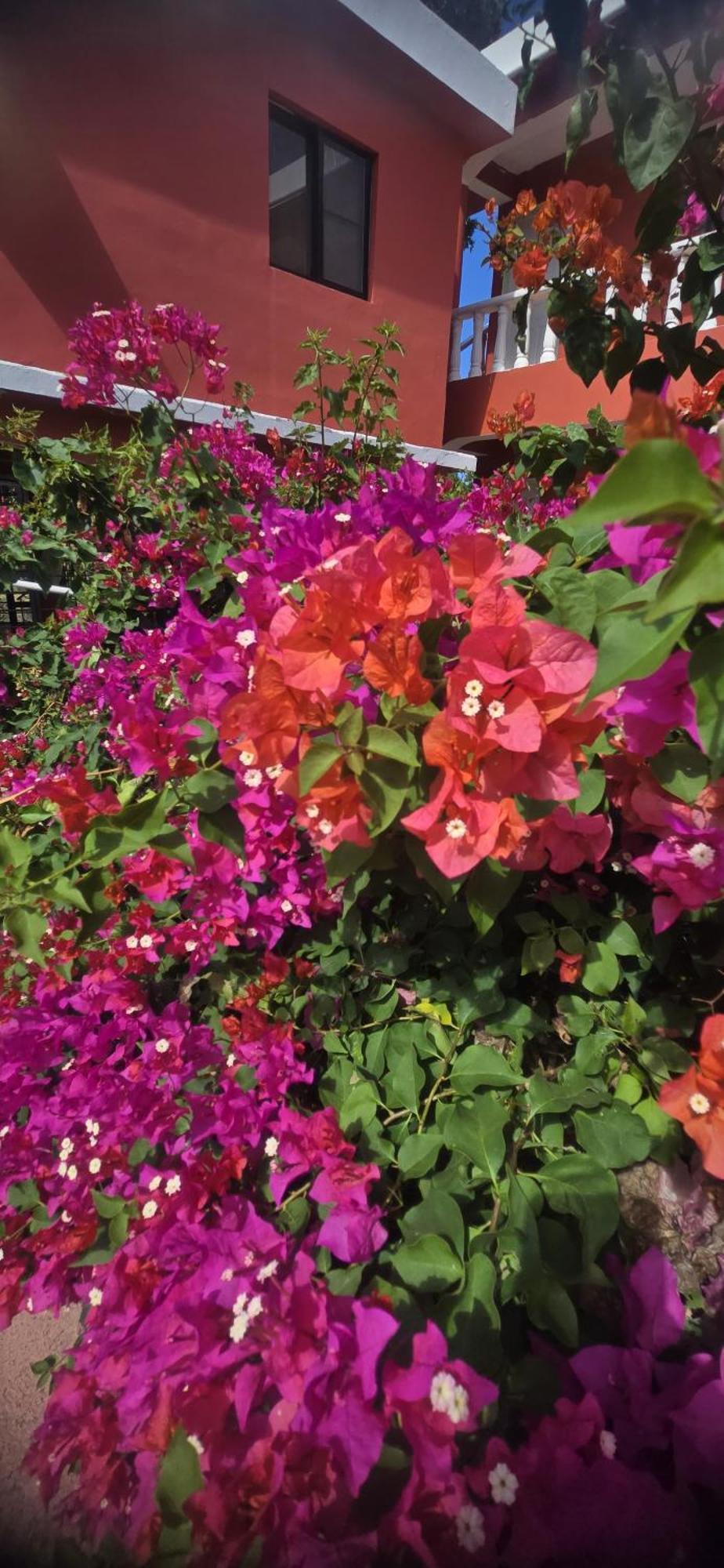 Villa Kiki Ensenada ปุนตารูเซีย ภายนอก รูปภาพ